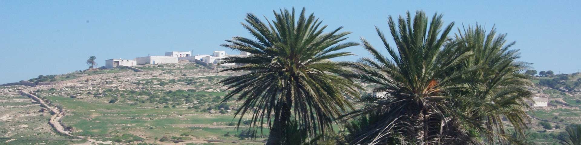 Morrocan Countryside