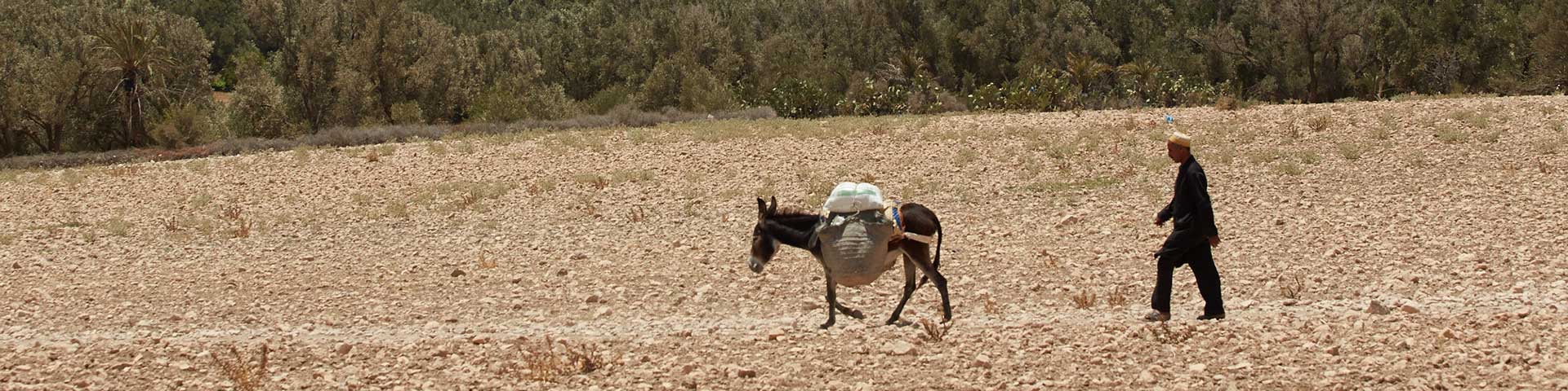 Essaouira Countryside