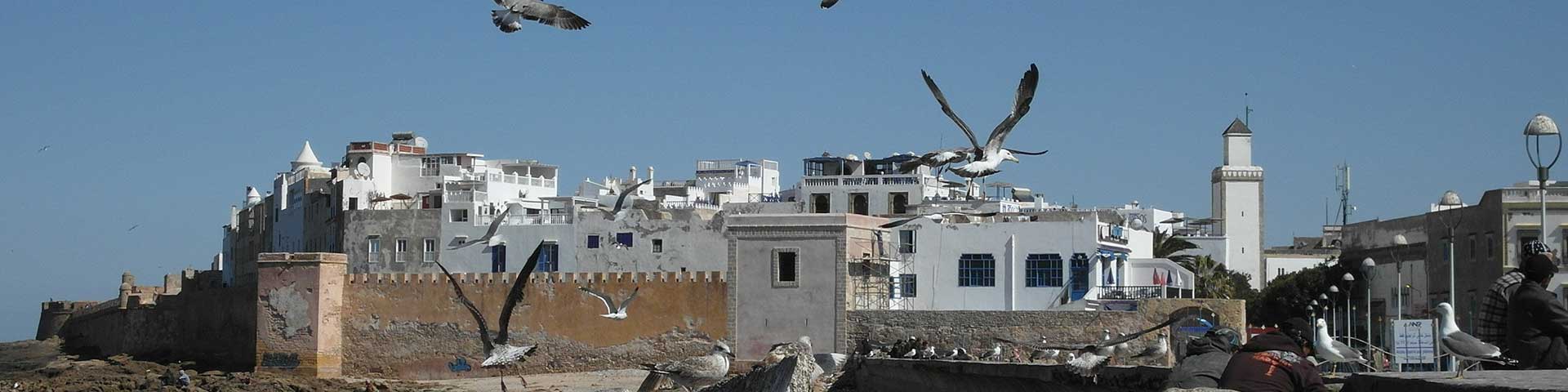half day around Essaouira