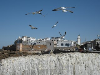 Essaouira